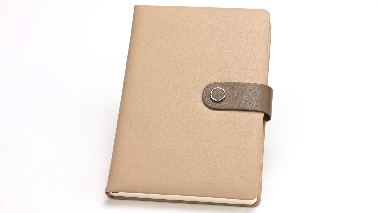 Magnetic Strap Closure